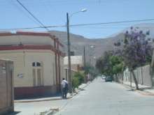 Vicuna side streets
