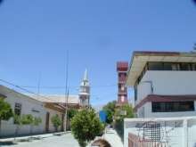 Vicuna approaching plaza