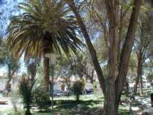 Vicuna central plaza