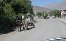 Vicuna side streets