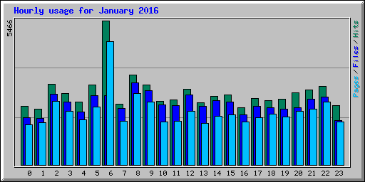 Hourly usage for January 2016