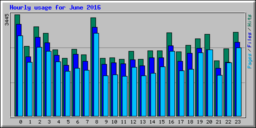 Hourly usage for June 2016