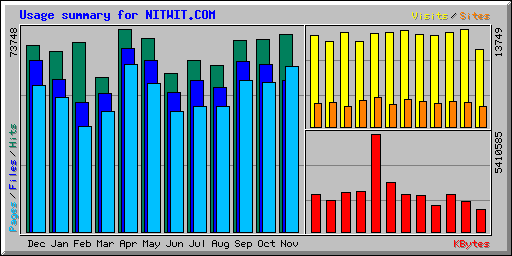 Usage summary for NITWIT.COM