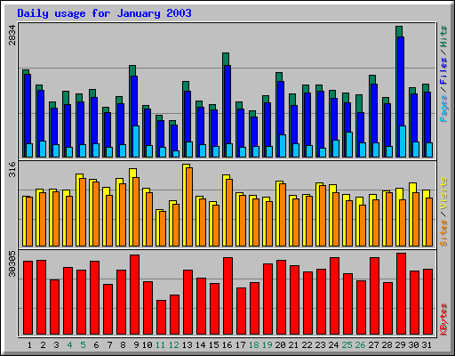 Daily usage for January 2003