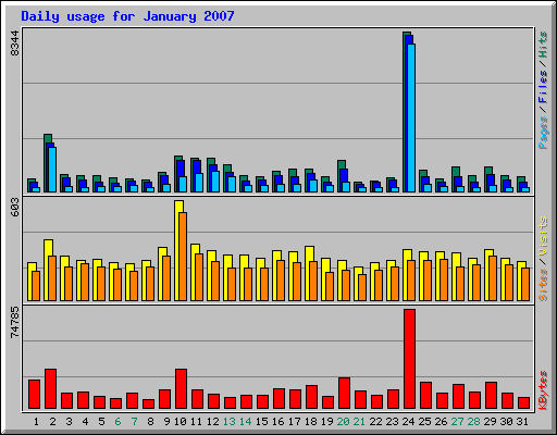 Daily usage for January 2007