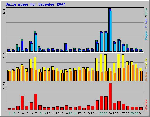 Daily usage for December 2007