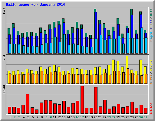 Daily usage for January 2010