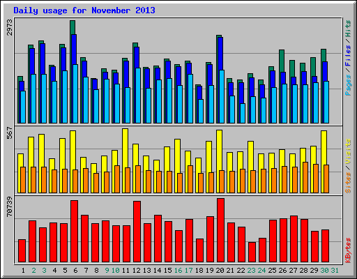 Daily usage for November 2013