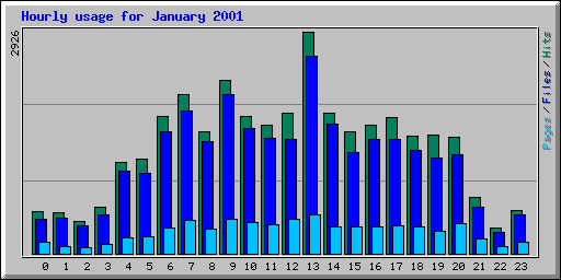 Hourly usage for January 2001