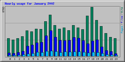 Hourly usage for January 2002