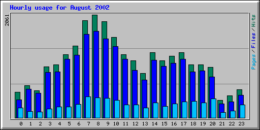 Hourly usage for August 2002