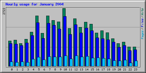 Hourly usage for January 2004