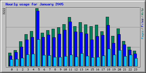 Hourly usage for January 2005