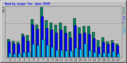 Hourly usage for June 2005