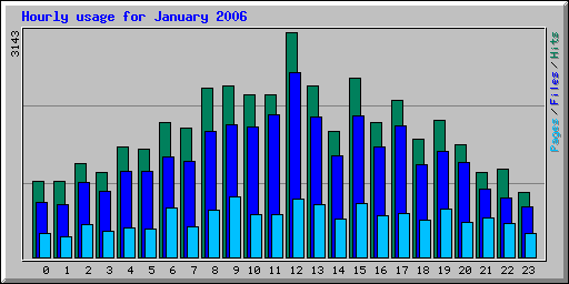 Hourly usage for January 2006