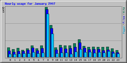 Hourly usage for January 2007