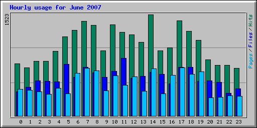 Hourly usage for June 2007