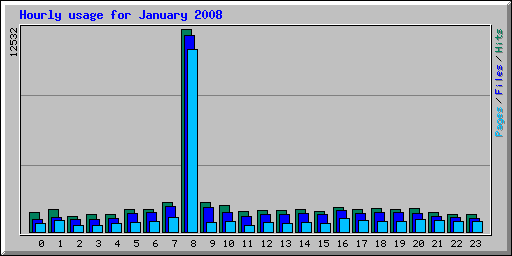 Hourly usage for January 2008