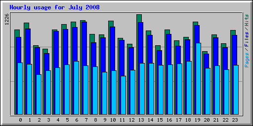 Hourly usage for July 2008