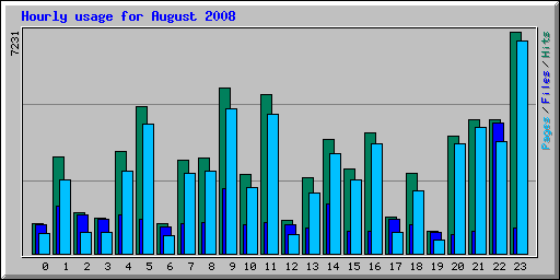 Hourly usage for August 2008