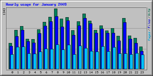 Hourly usage for January 2009