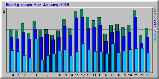 Hourly usage for January 2010