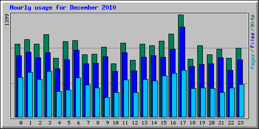 Hourly usage for December 2010