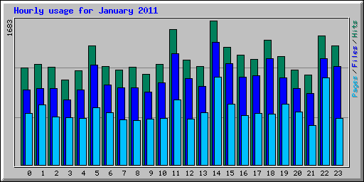 Hourly usage for January 2011