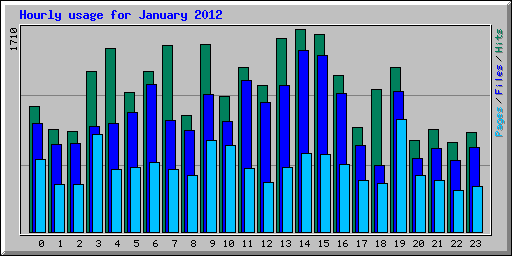 Hourly usage for January 2012