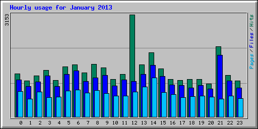 Hourly usage for January 2013