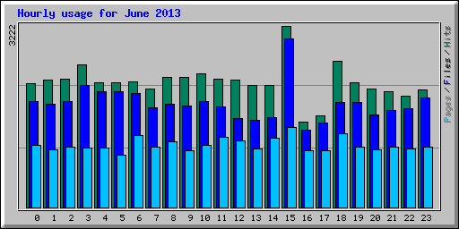 Hourly usage for June 2013