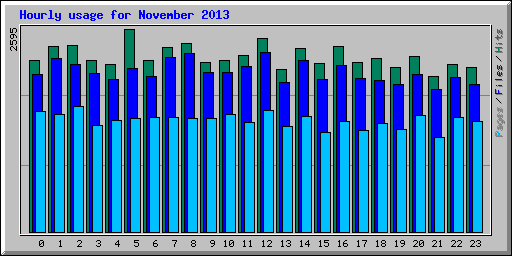 Hourly usage for November 2013