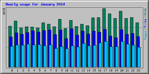 Hourly usage for January 2014